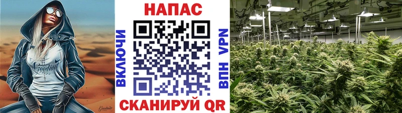 Канабис семена  цена наркотик  маркетплейс телеграм  Белореченск  ссылка на мегу рабочий сайт 